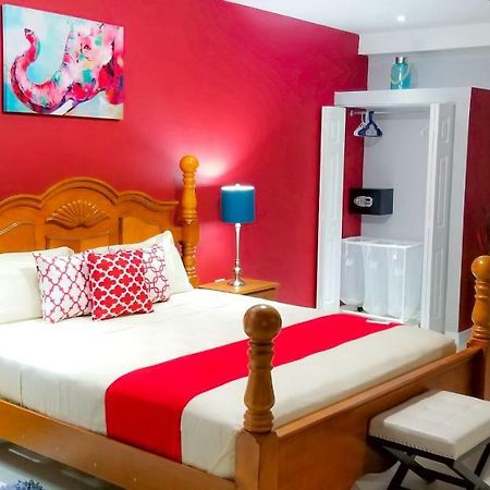 Casa Tamar Guest Apartment Κίνγκστον Εξωτερικό φωτογραφία
